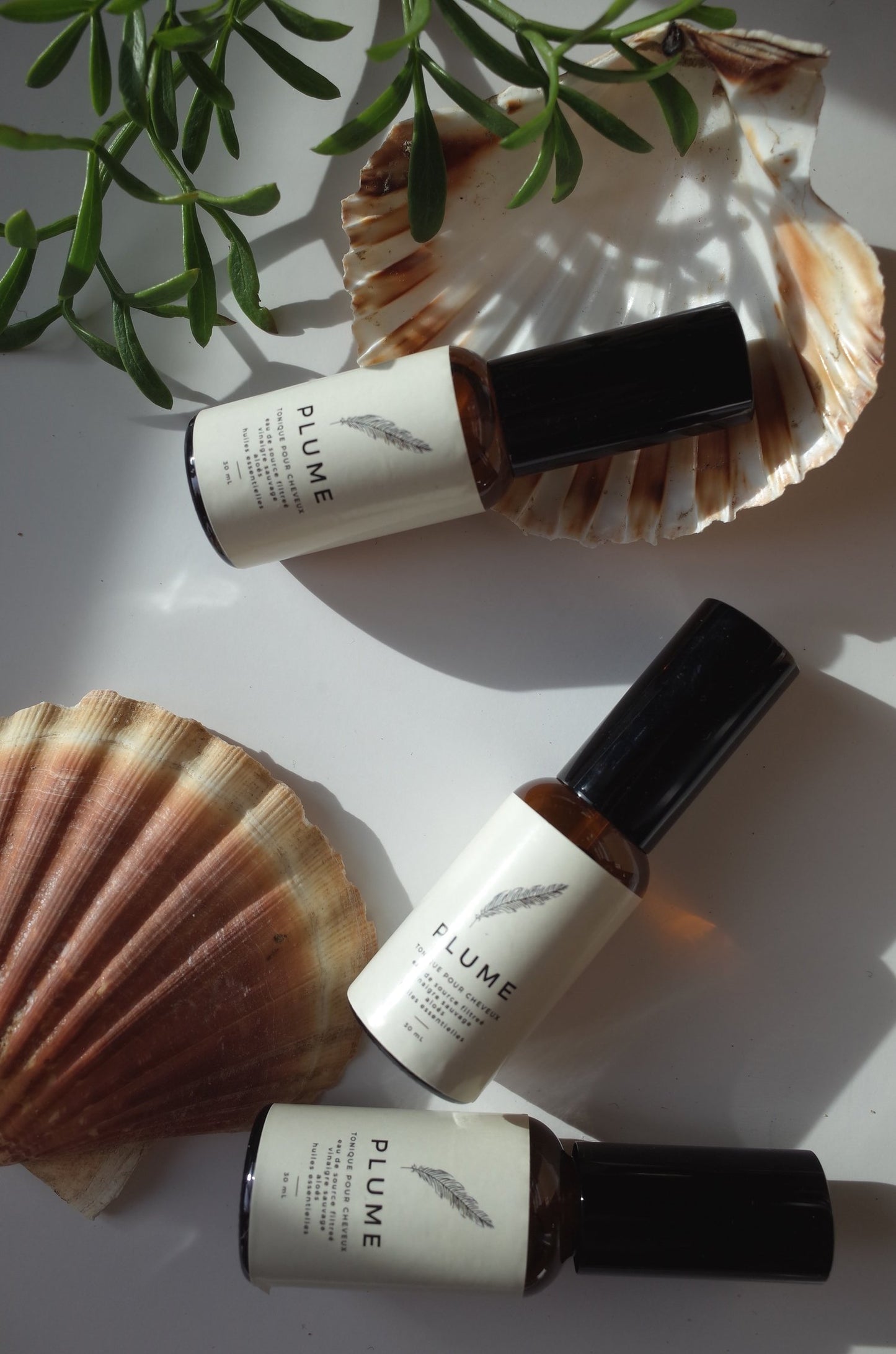 PLUME Hair Tonic – 30 ML